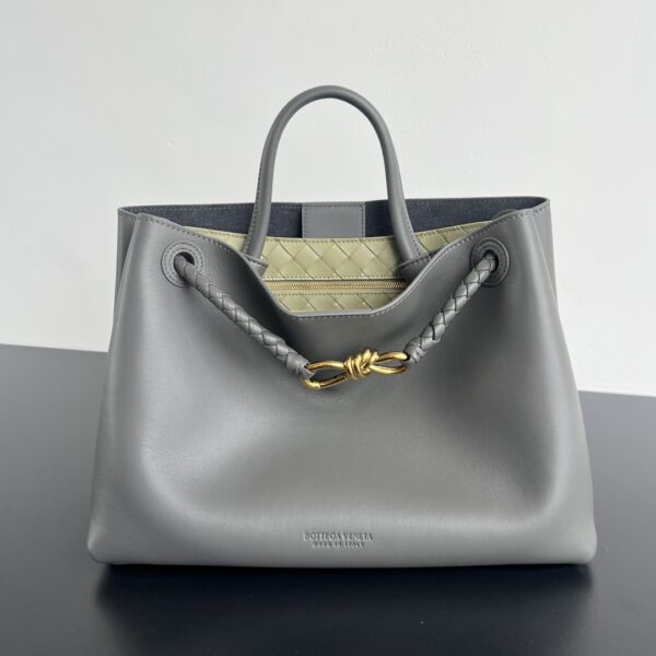 BOTTEGA VENETA Andiamo Medium