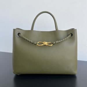 BOTTEGA VENETA Andiamo Medium