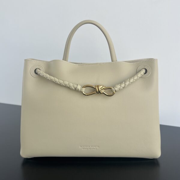 BOTTEGA VENETA Andiamo Medium
