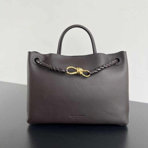 BOTTEGA VENETA Andiamo Medium