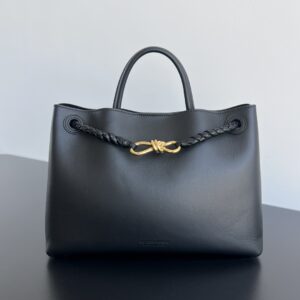 BOTTEGA VENETA Andiamo Medium