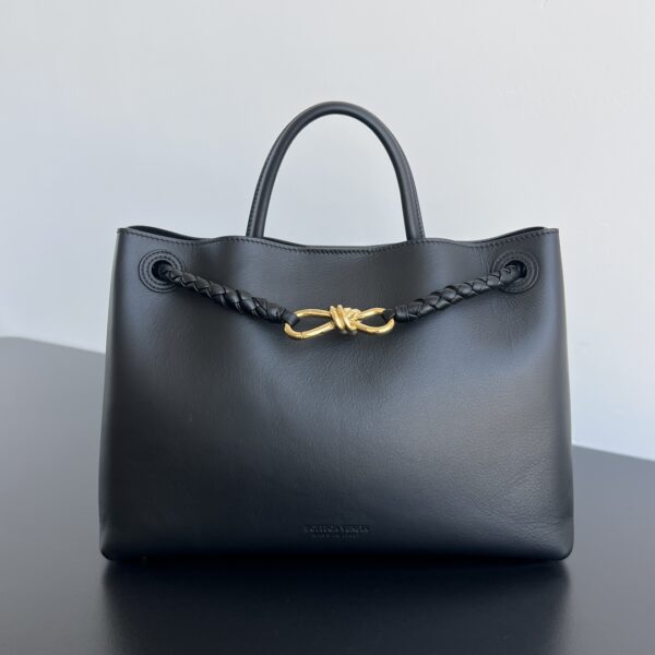 BOTTEGA VENETA Andiamo Medium