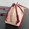BOTTEGA VENETA Concert Pouch