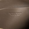 BOTTEGA VENETA Concert Pouch