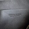 BOTTEGA VENETA Concert Pouch