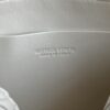 BOTTEGA VENETA Concert Pouch