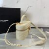 YSL Gaby Vanity Bag In Lambskin